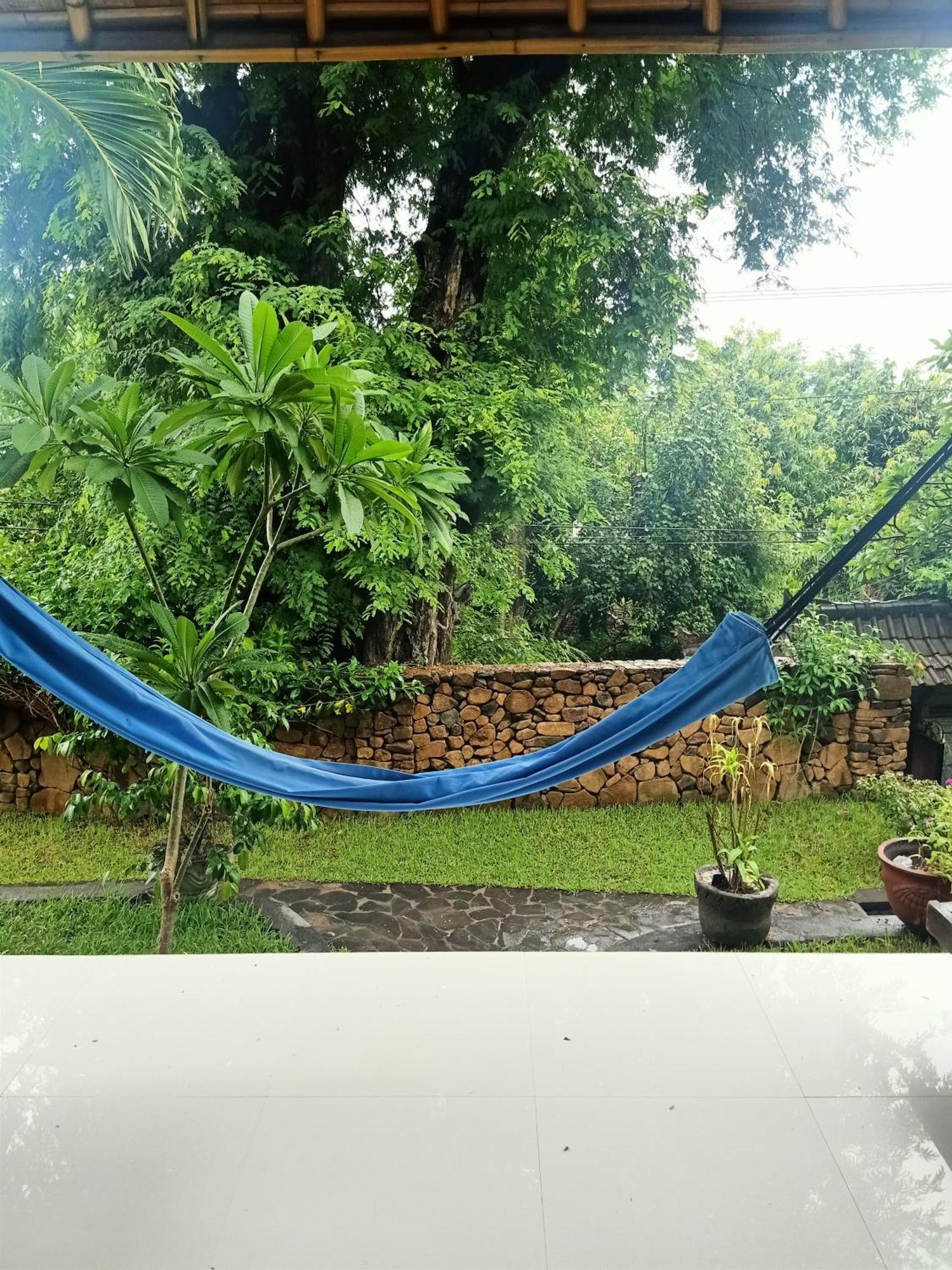 아메드 Bamboo Bali 아파트 객실 사진
